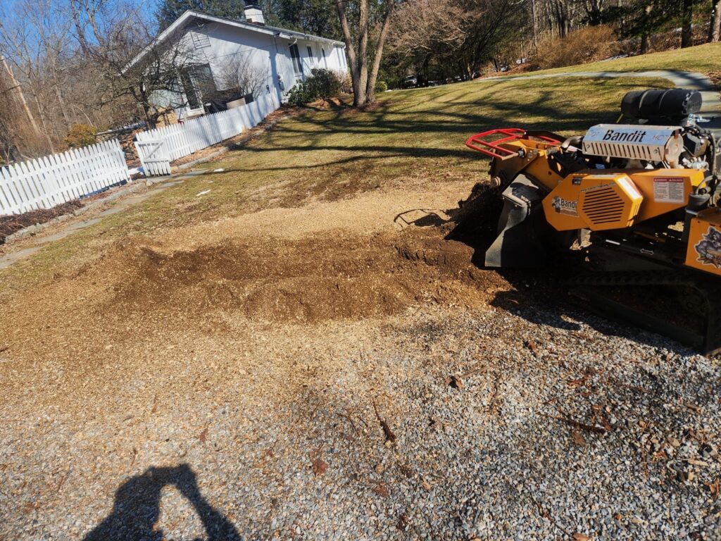 stump grinding service santa rosa ca