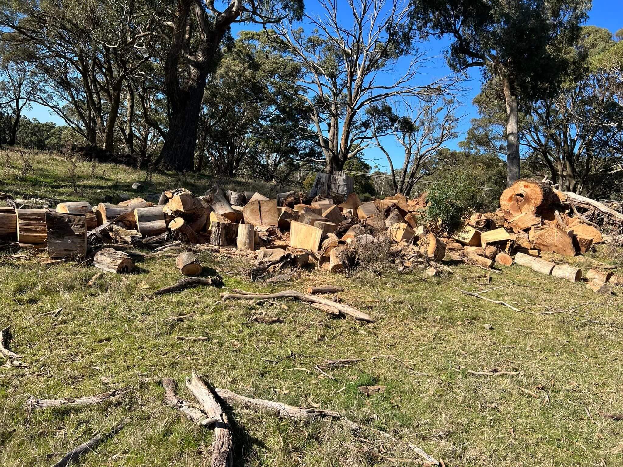 tree removal santa rosa